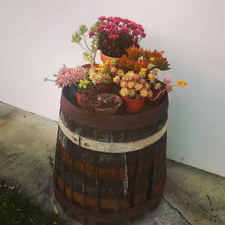 Terra Da Eira * Columbeira
