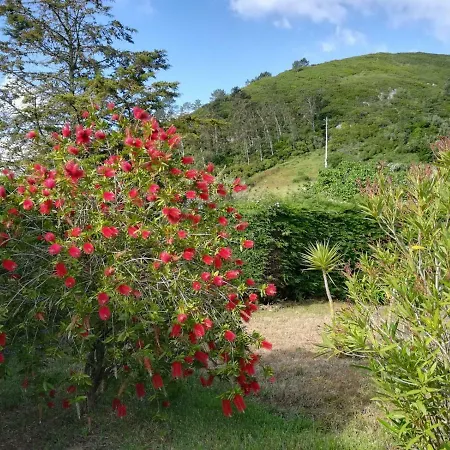 Terra Da Eira *